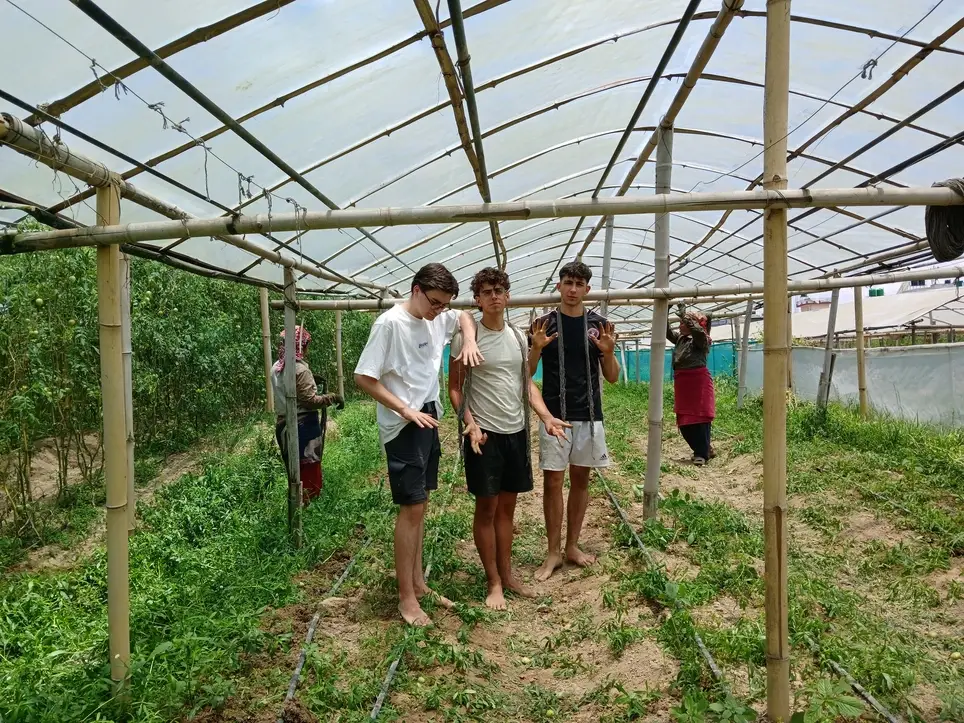 Organic Farm Volunteering in Nepal