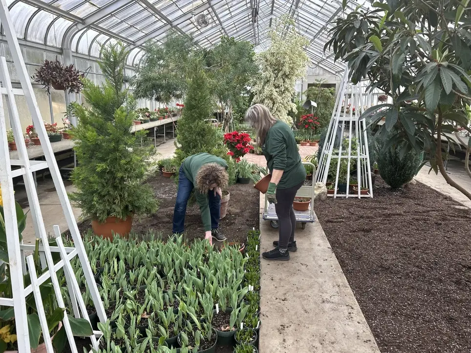 Hidden Lake Gardens Volunteer Program