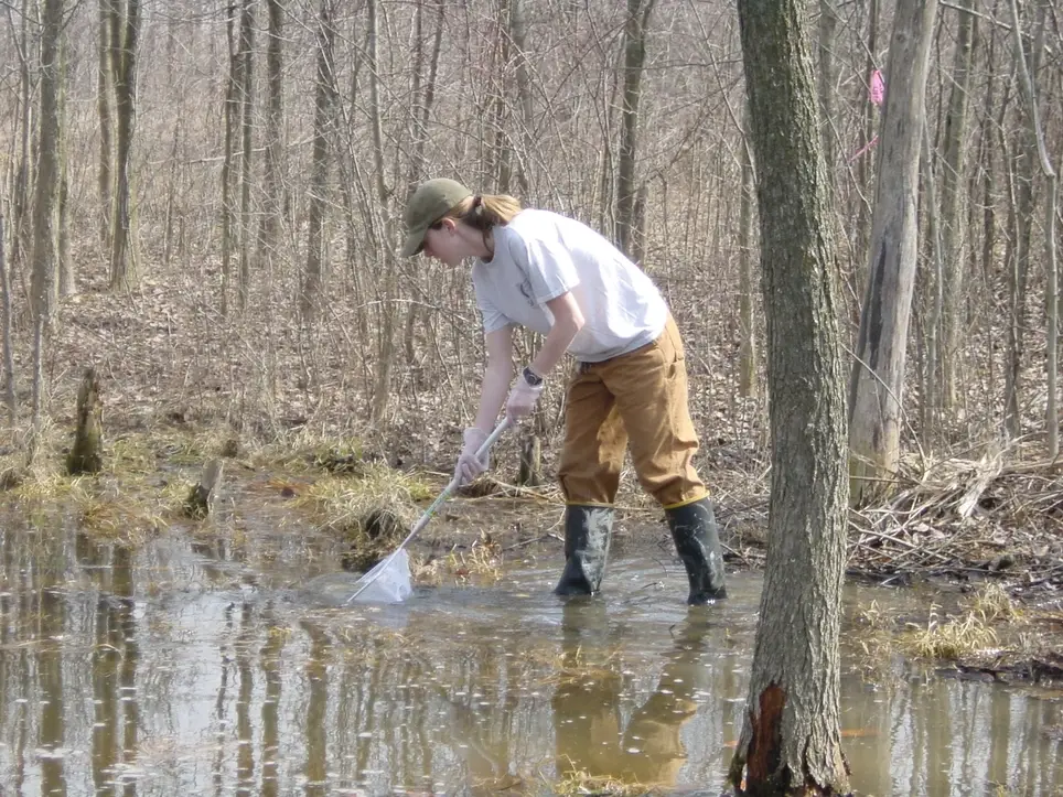 Turtle Steward Training/Kick-off