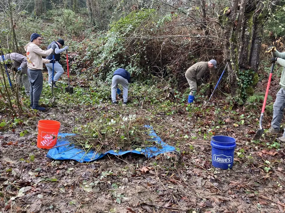 Promote Pollinator Prosperity in Puyallup @ Horsley Property - Join PCD's Feb. 21 Work Party!