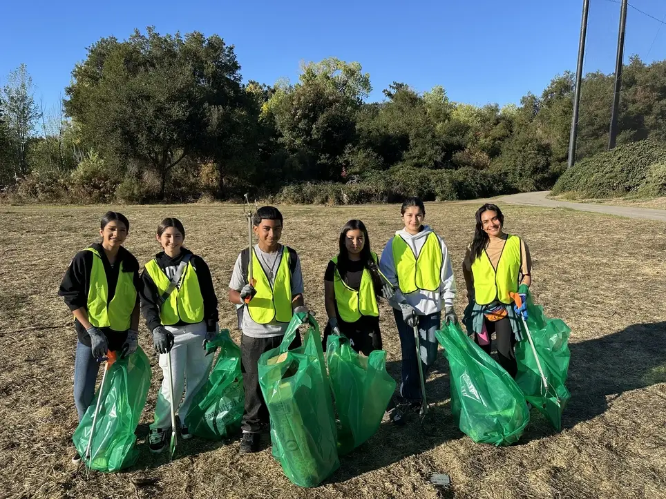 Tidings of Clean & Joy - Cleanup