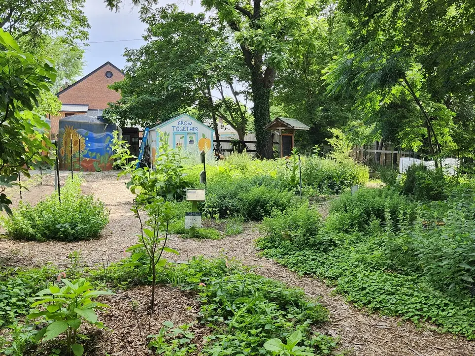 Composting at the Camden Street Learning Garden