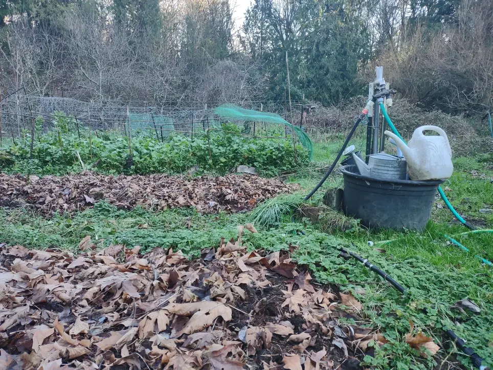 Lasagna Gardening Work Party & Skill Share