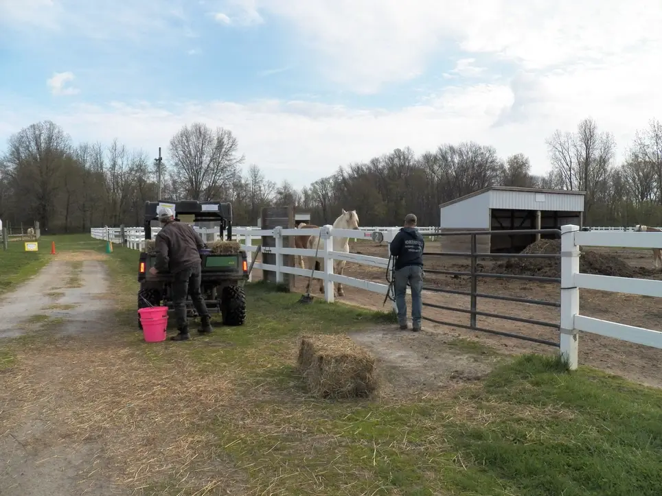 Feed Horses at a Therapeutic Horseback Riding Center
