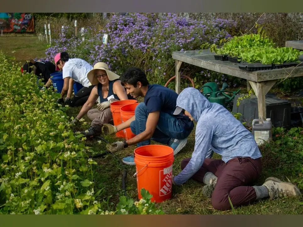 Families, Farming, and Forestry