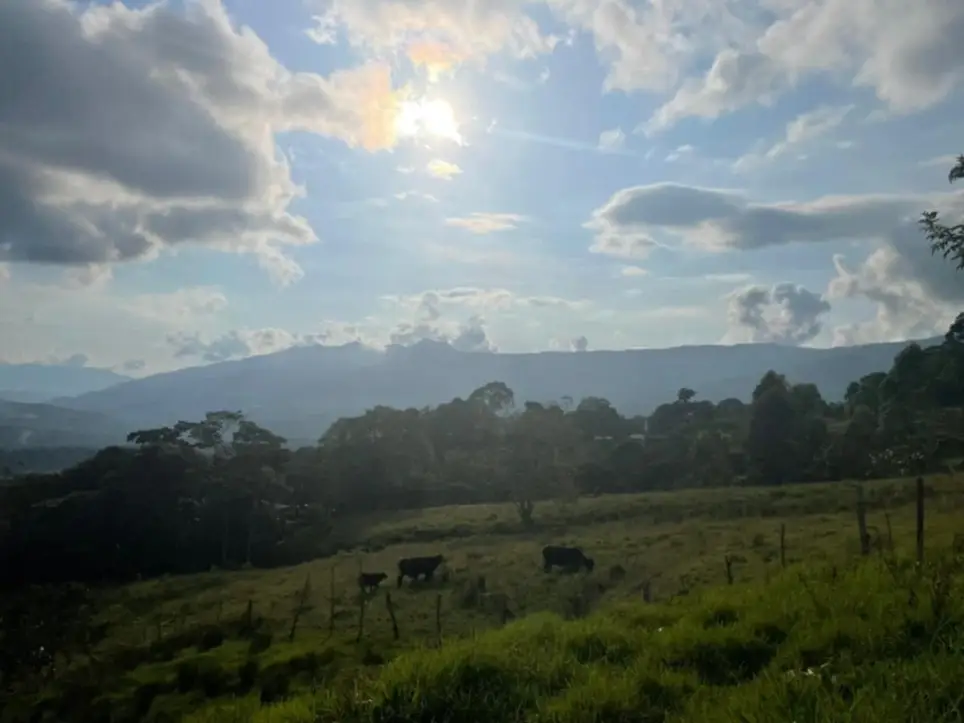 Permaculture & Agroforestry Volunteer – Help Build a Regenerative Sanctuary in Colombia