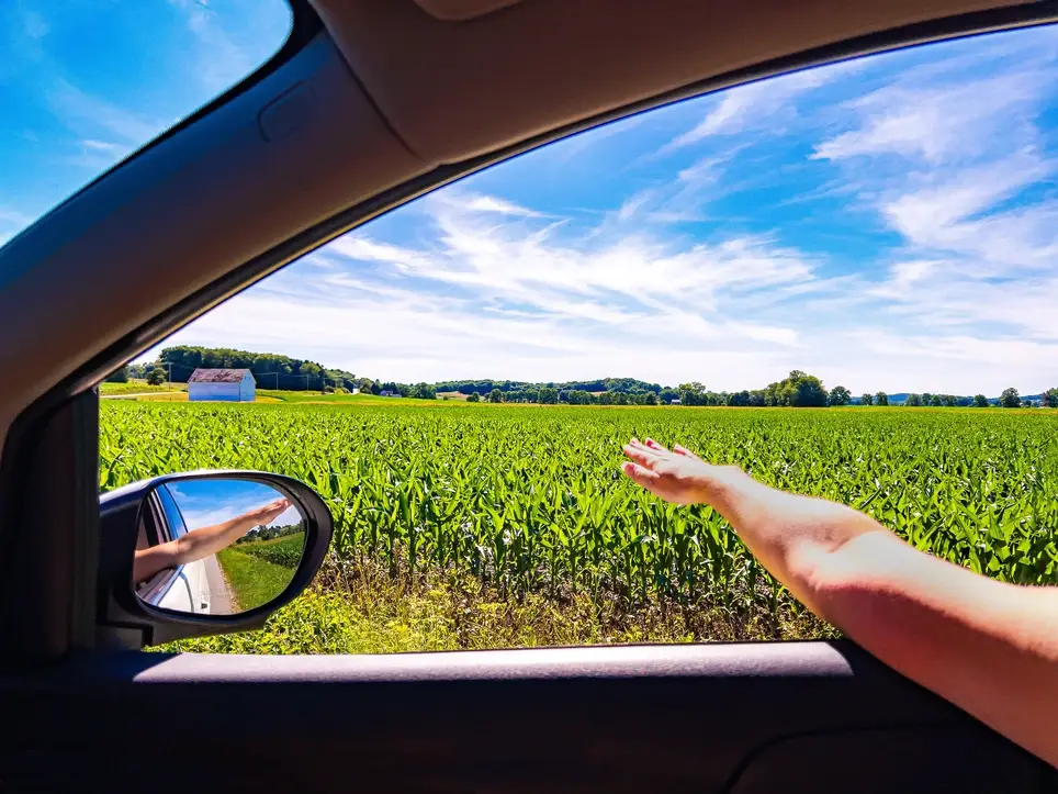 Army Pink: Pathway to Freedom (LA Pilot – Transportation Outreach)