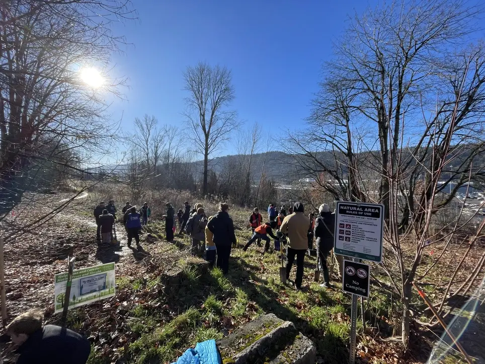 Plant trees on Valentine's Day in Wilsonville!