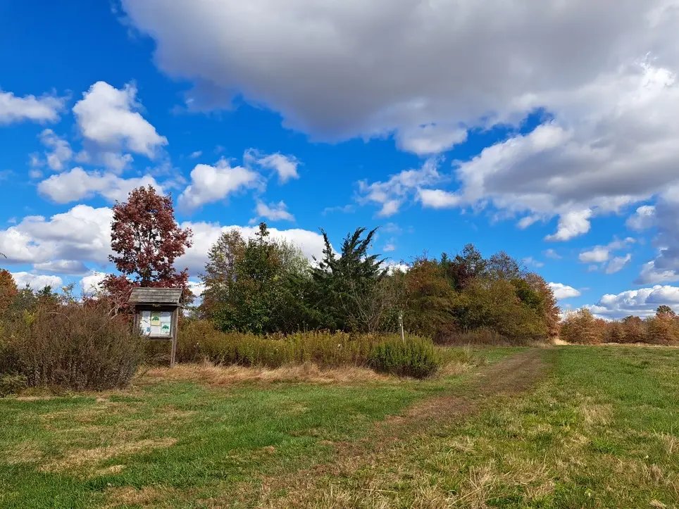 Stewardship Saturday at Quakertown Preserve