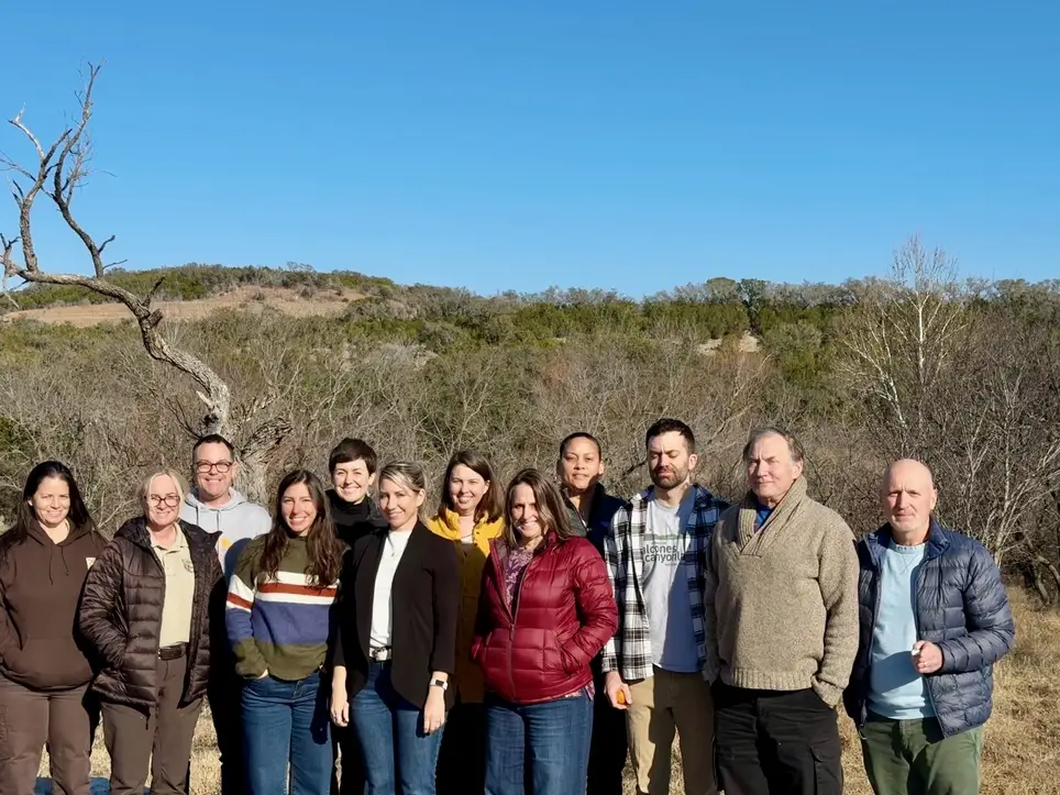 Board and Committee Members