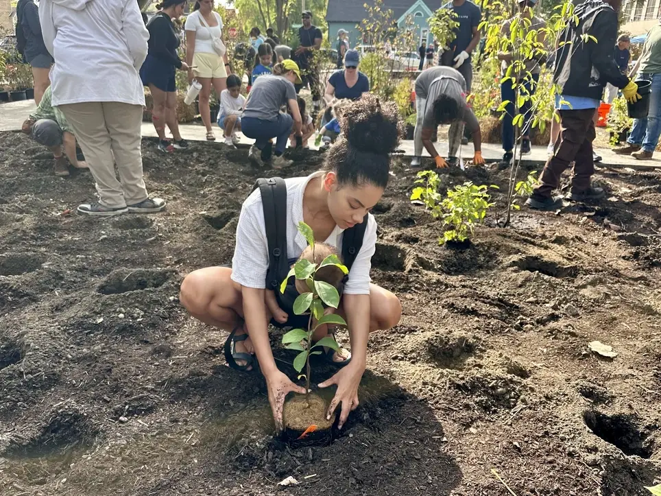 Community Gardening at Kintsugi Village (9/9)