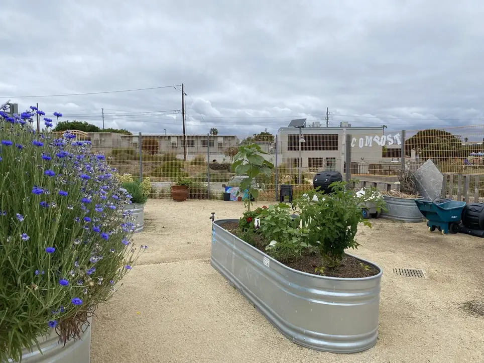 Garden and Compost Program