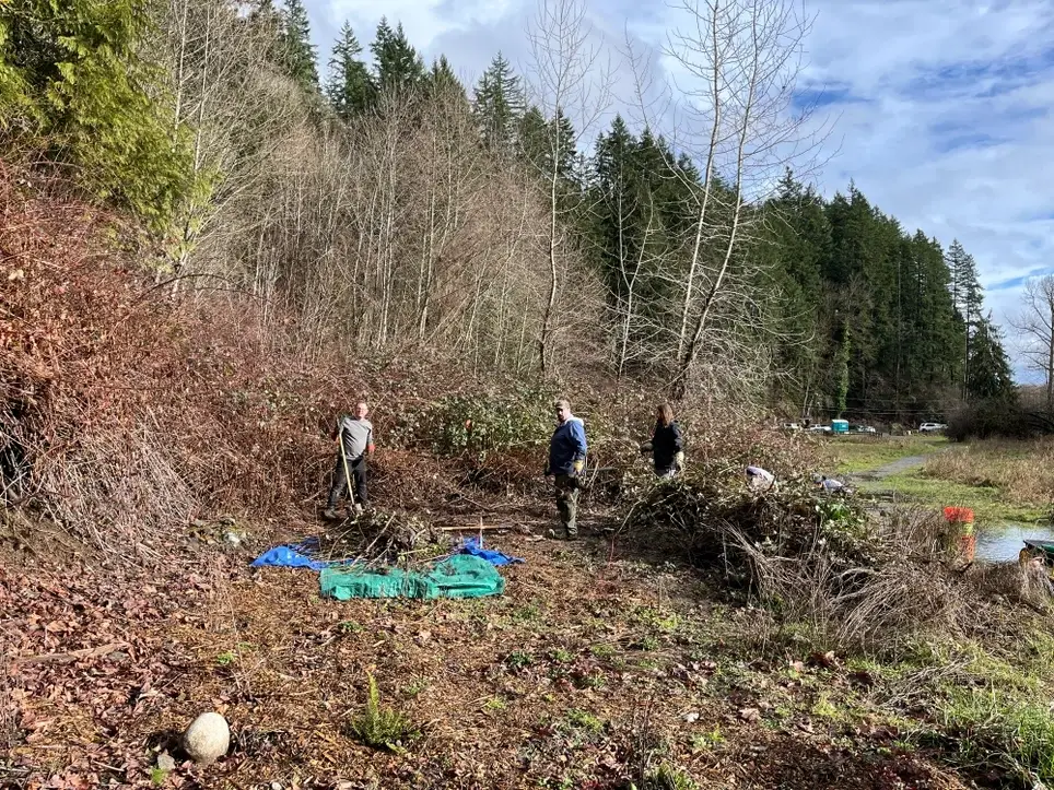 Improve wildlife habitat at Lord Hill Regional Park