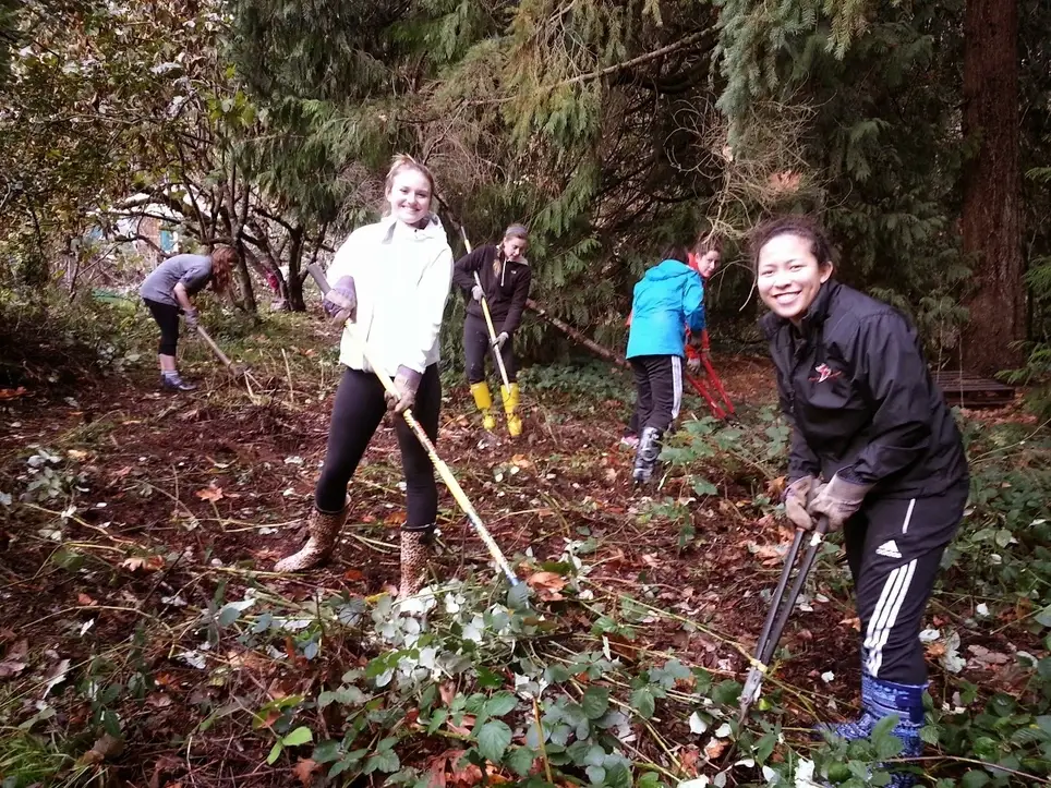 Cut Blackberries and Feed Goats at TLC Farm