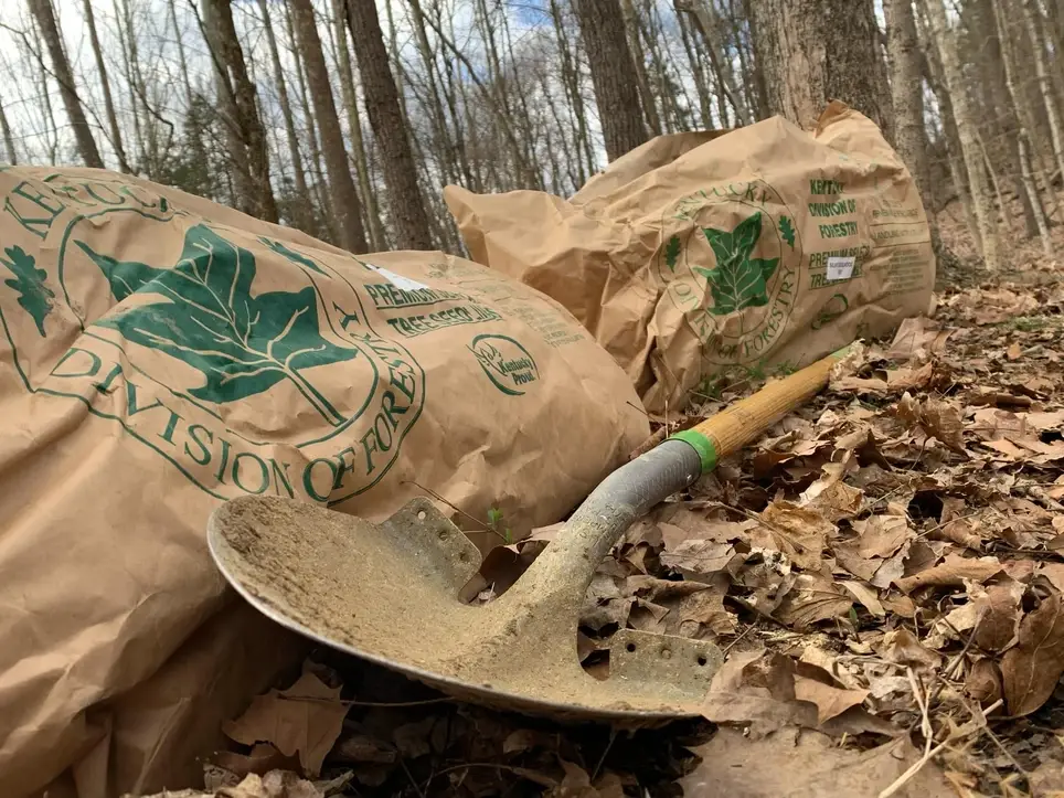 Pendery Nature Trail Tree Planting