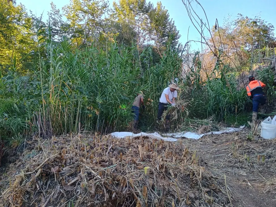 Community Service Hours Needed?  No Problem!