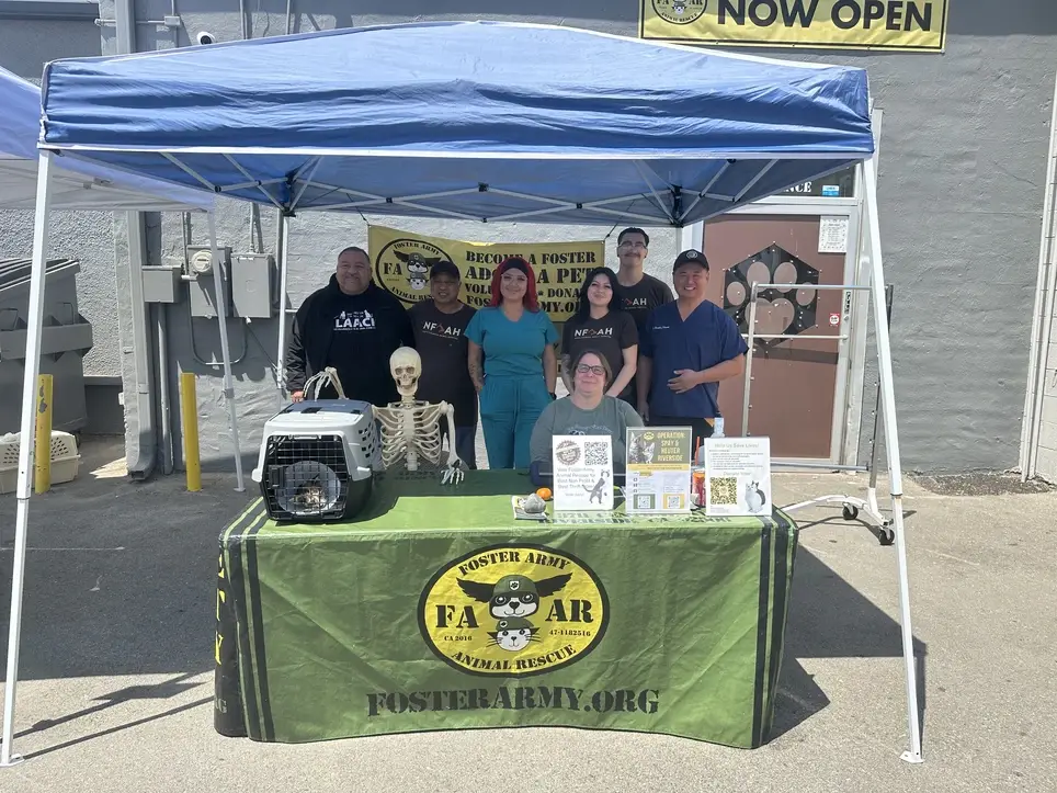 Special Event Volunteer