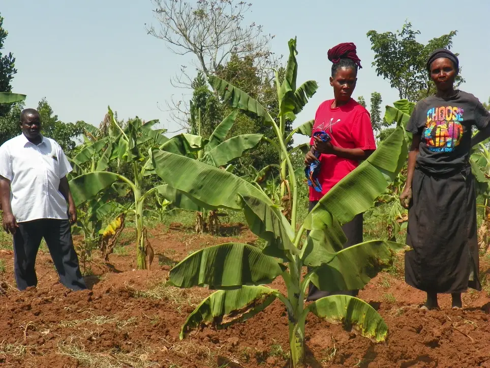 Worldwide Volunteers, Project Coordinators, and Ambassadors are warmly welcomed to Buwenge Shared Hope Ministry Limited, Uganda – East Africa. Together, we build hope, transform lives, and create a brighter future for vulnerable children, youth, and women.