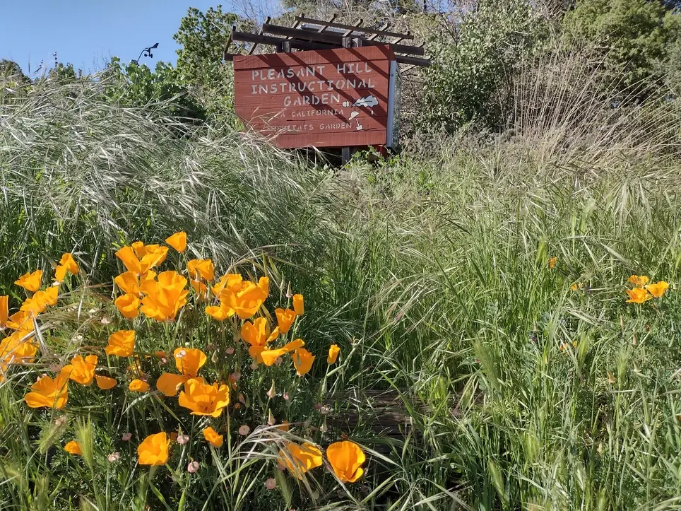 Help dismantle wooden work bench, kiosk, and redwood shed to be transported to new site, where they will be reconstructed. .
