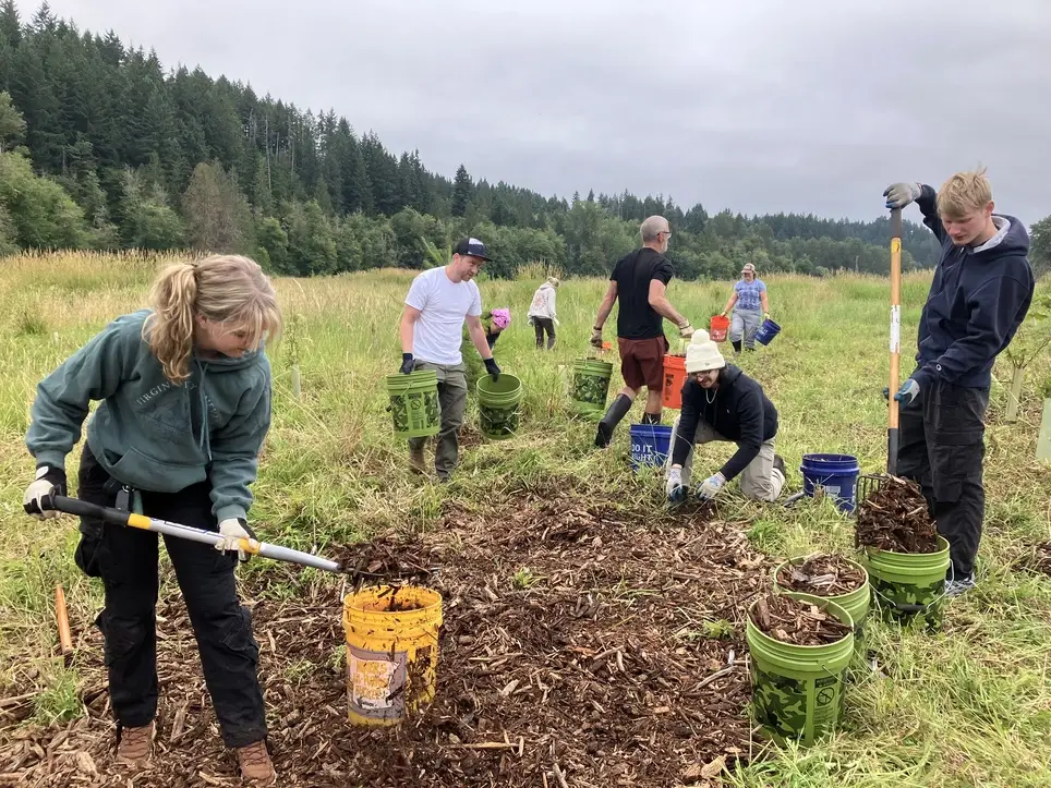 Be A Salmon Superhero at South Prairie Creek Preserve - Join PCD's June 20 Work Party