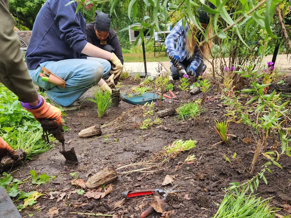 Wednesday Gardening at Beal