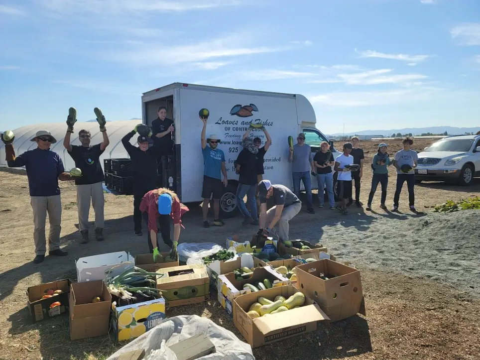 Charity Urban Farm Volunteering #911