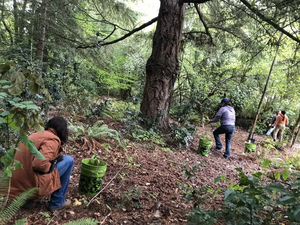 Support Healthy Avian Habitats @ Adriana Hess Wetland Park - Join PCD's Mar. 21 Work Party!