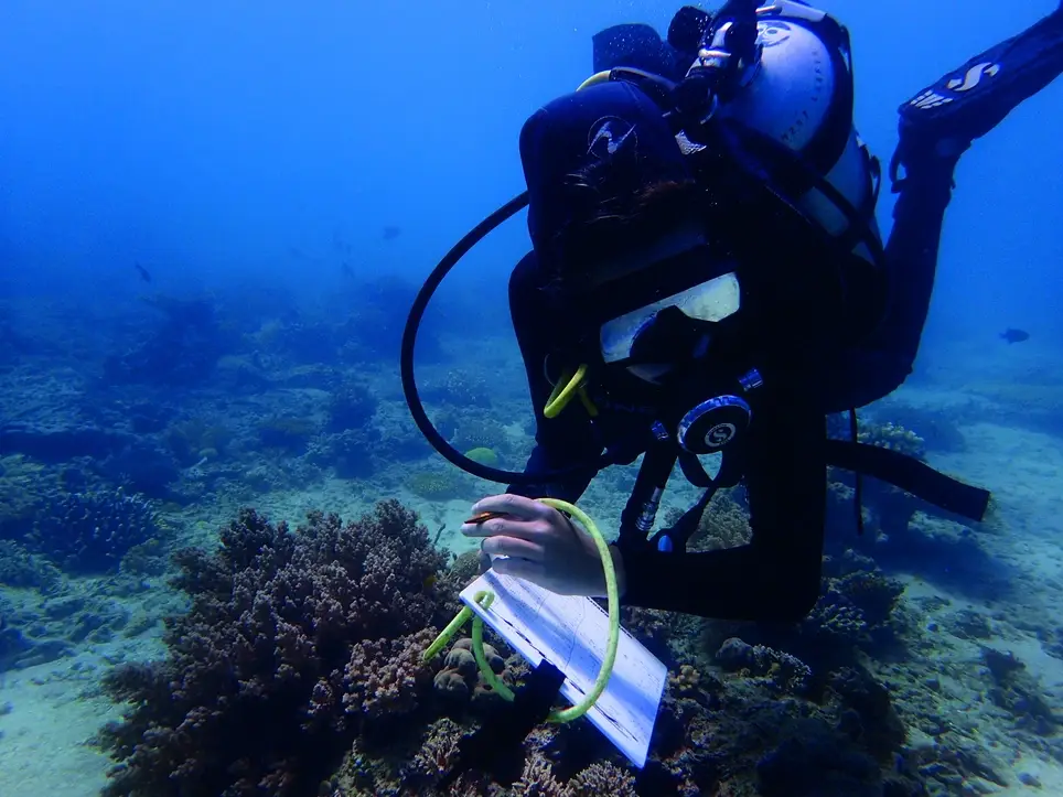 Research Internships in Marine Conservation (Philippines)