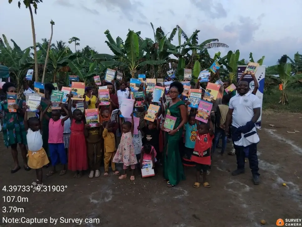 Volunteer Opportunity: Digital Fundraising & Google Ad Grants Specialist (Remote) Organization