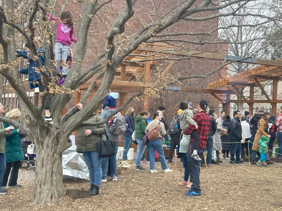 Volunteer at the Somerville Maple Boil on March 7!