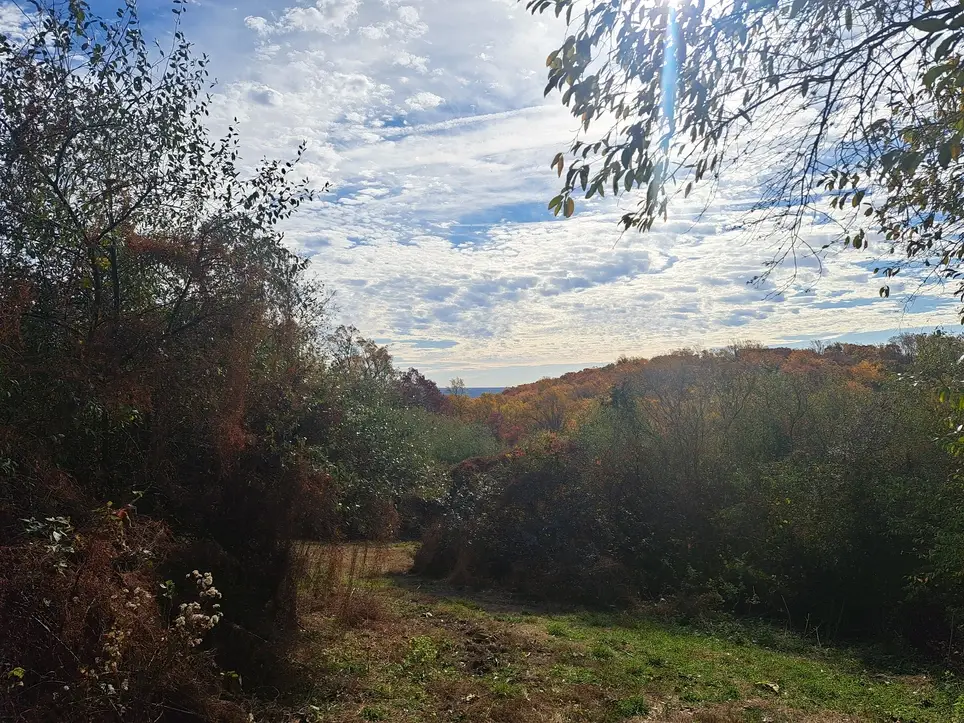 Stewardship Saturday at Holland Highlands Preserve