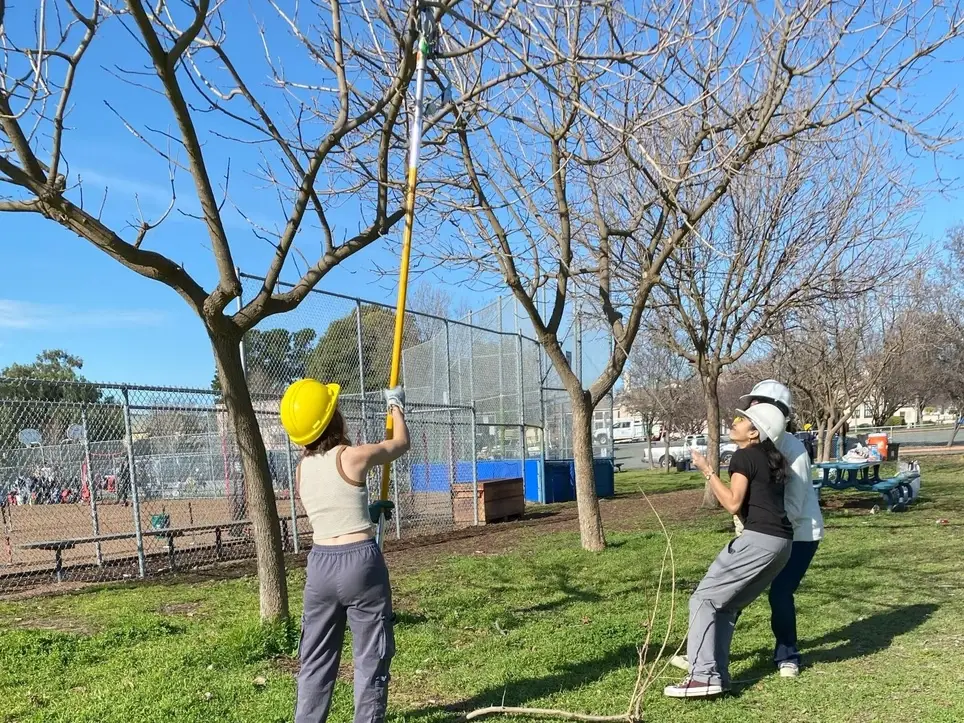 Tree Care Day at Semple Elementary School