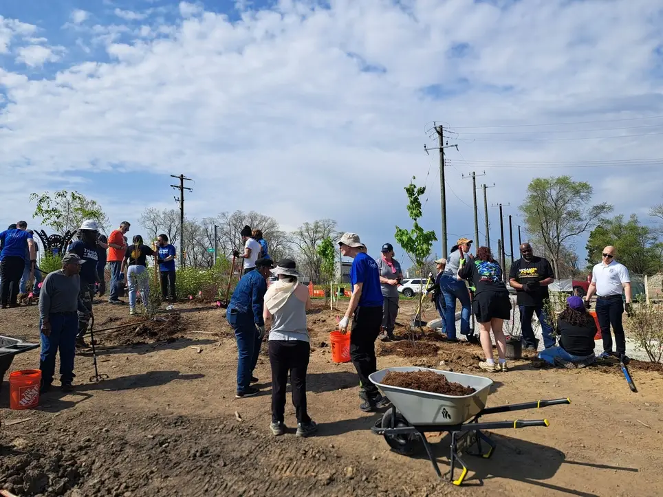 Fort St Bridge Park Perennial Planting