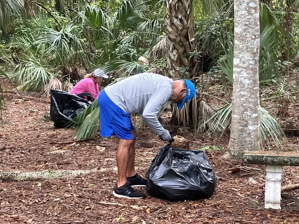 Coral Gables Pinewood Cemetery Invasive Plant Removal