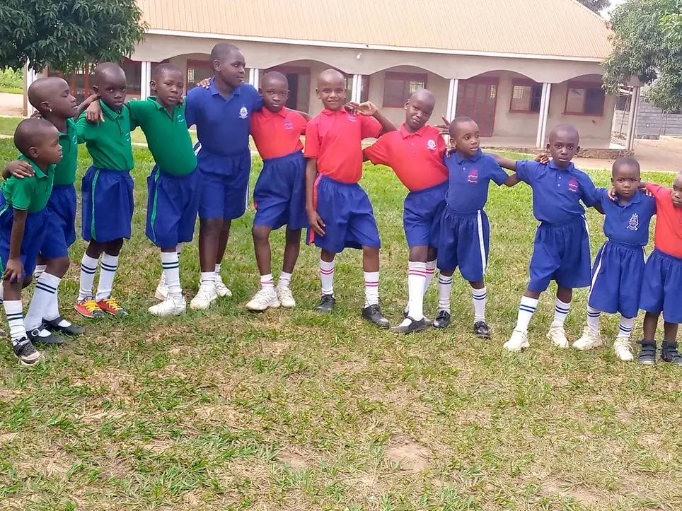 Internship volunteer placements