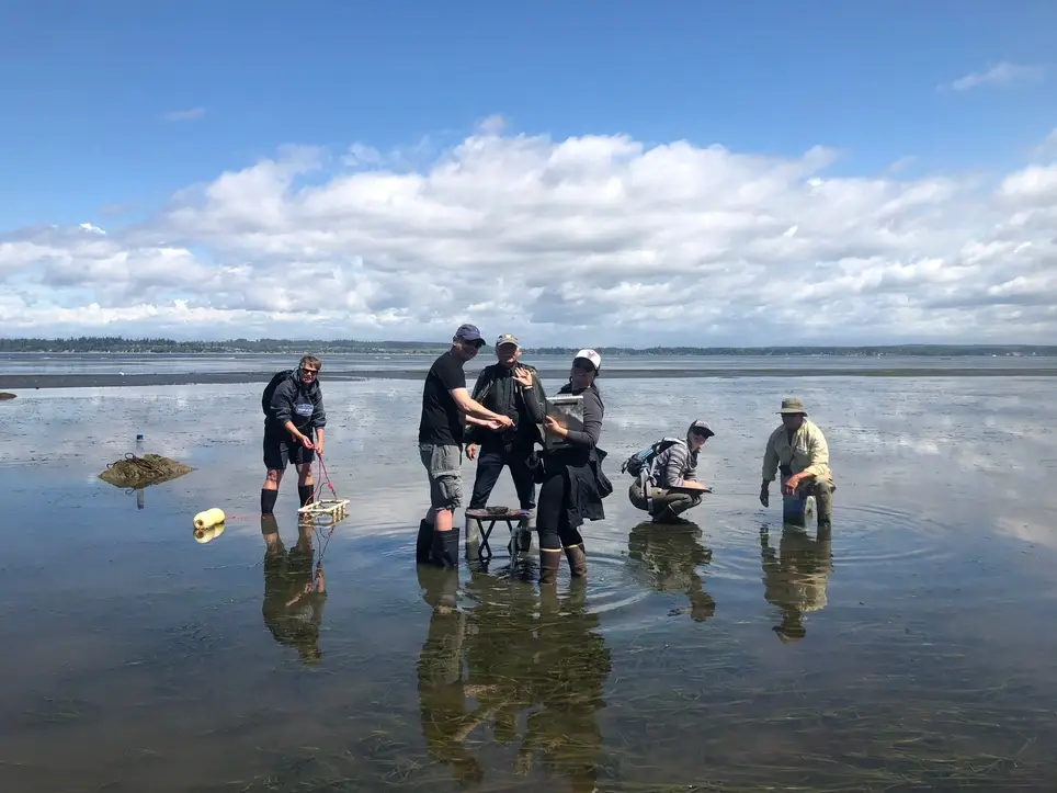 Nisqually Reach Climate Resilience Site Guardian