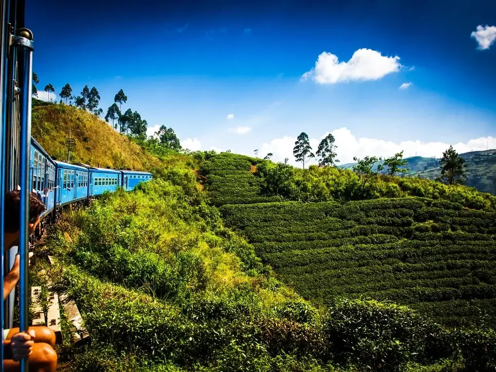 Voluntariado no Sri Lanka!