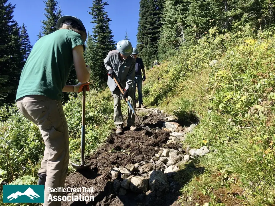 Pacific Crest Trail Maintenance Volunteers - Washington