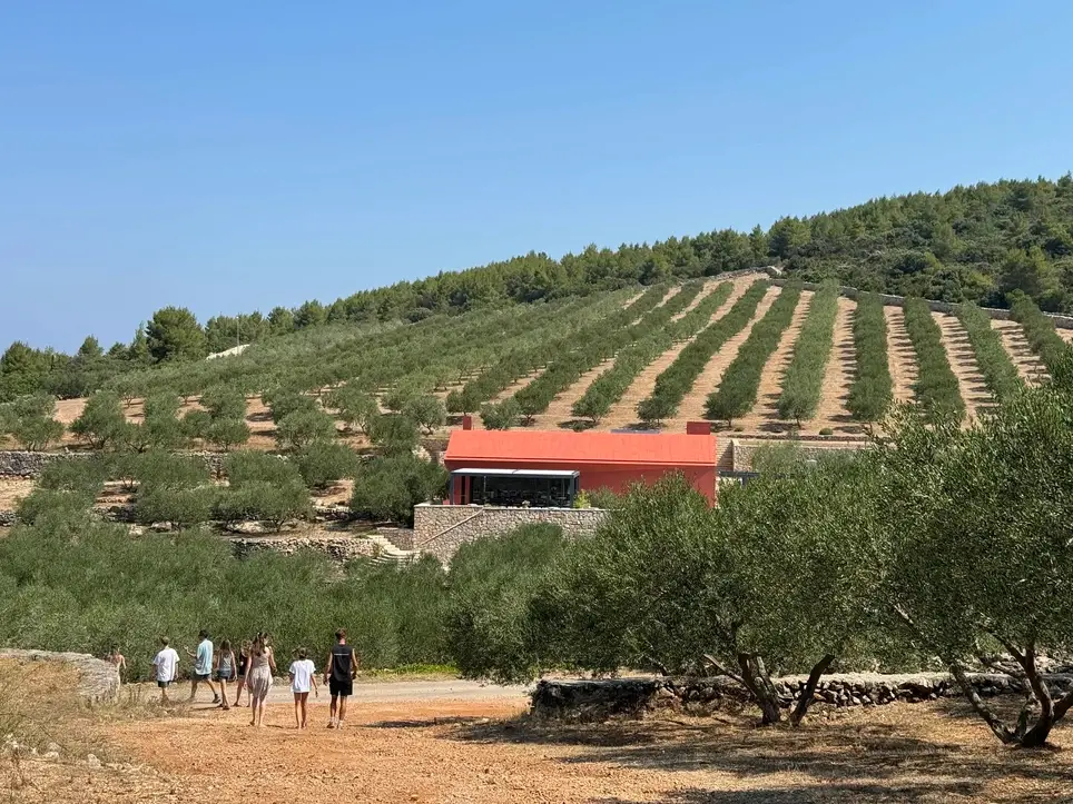 Explore the Foodways of a Mediterranean Island alongside Children