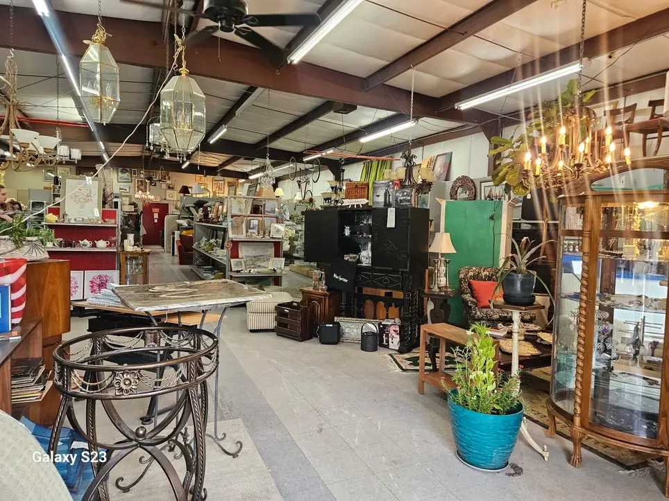 Animal Rescue Thrift Store Volunteer