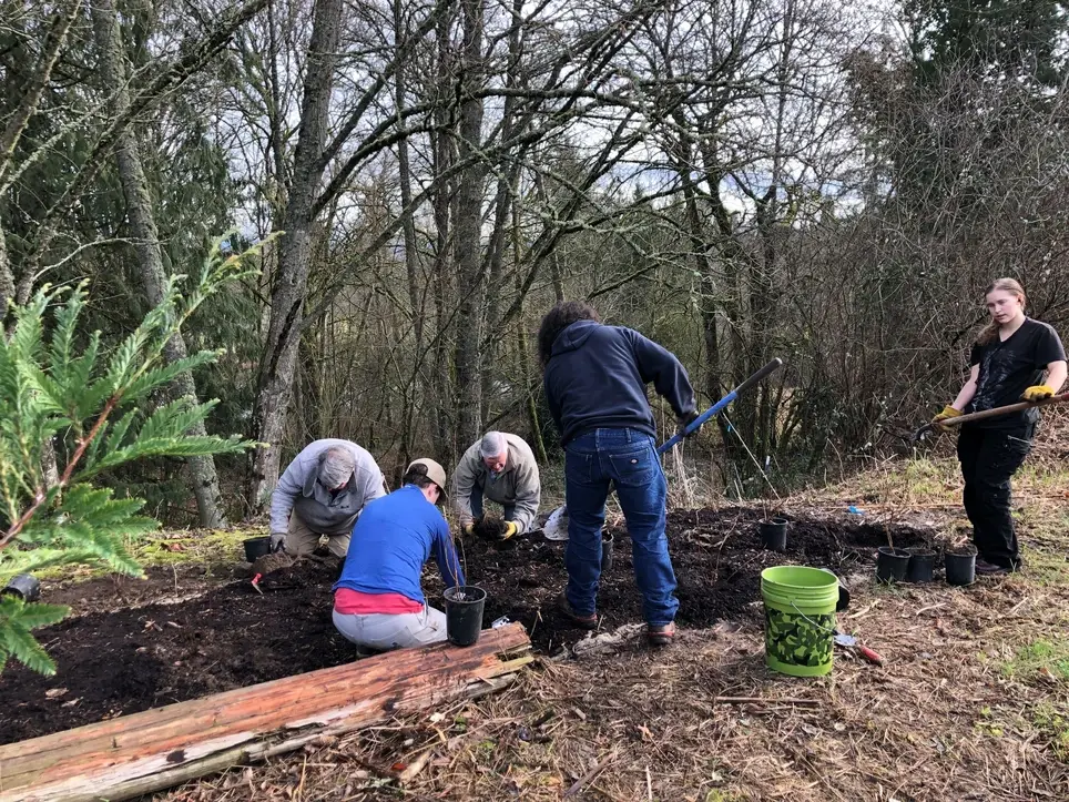 Help Defeat Pesky Invasive Plants at Puyallup's Deadman's Pond - Join PCD's July 3 Work Party!