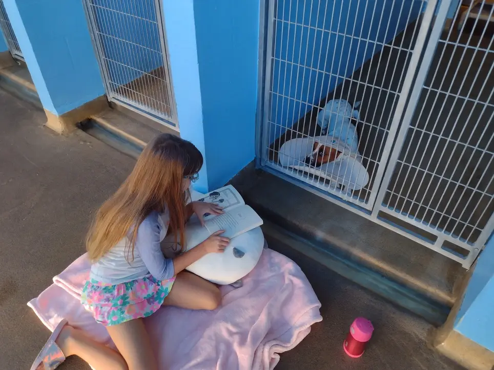 Book Buddies: read to our dogs and cats!