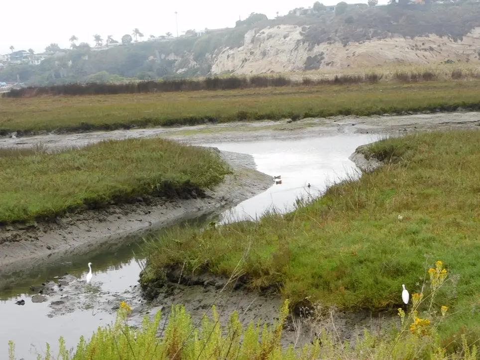 Wildlife Outreach Volunteer for Earth Day Community Event