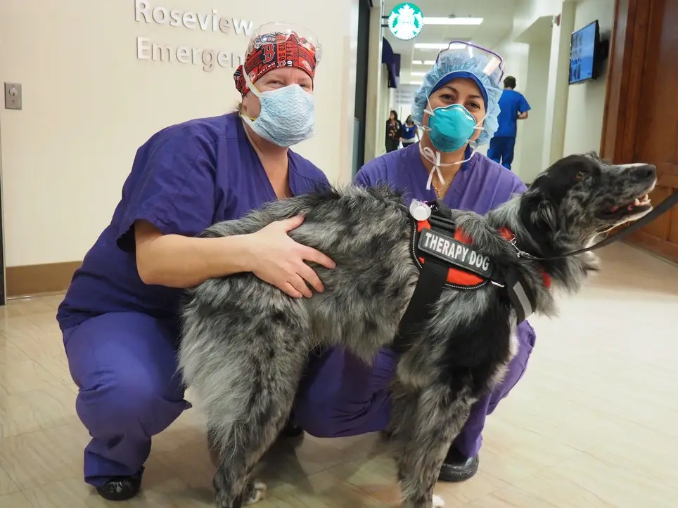 Pet Therapy at Renown Health