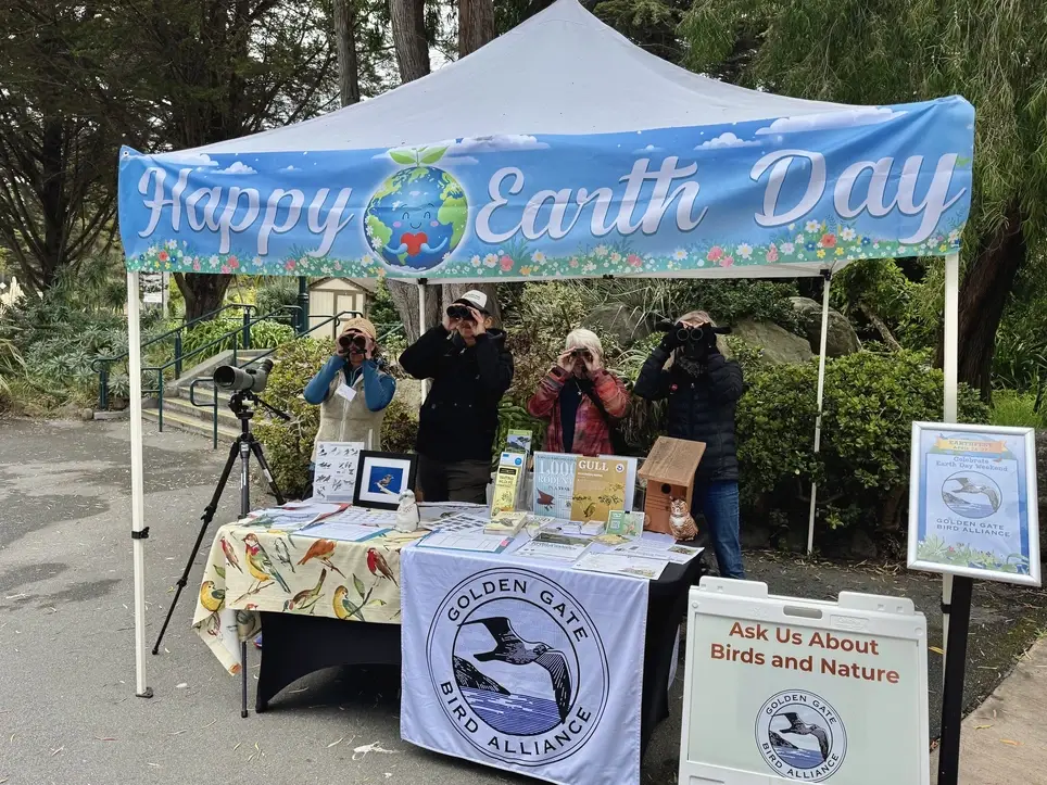 Attend community and conservation events for/w/Golden Gate Bird Alliance (was Golden Gate Audubon)