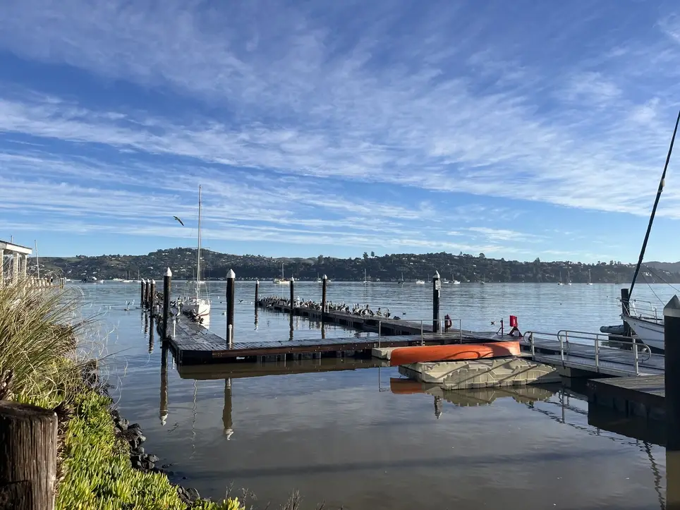 Board of Directors - Sausalito Community Boating Center