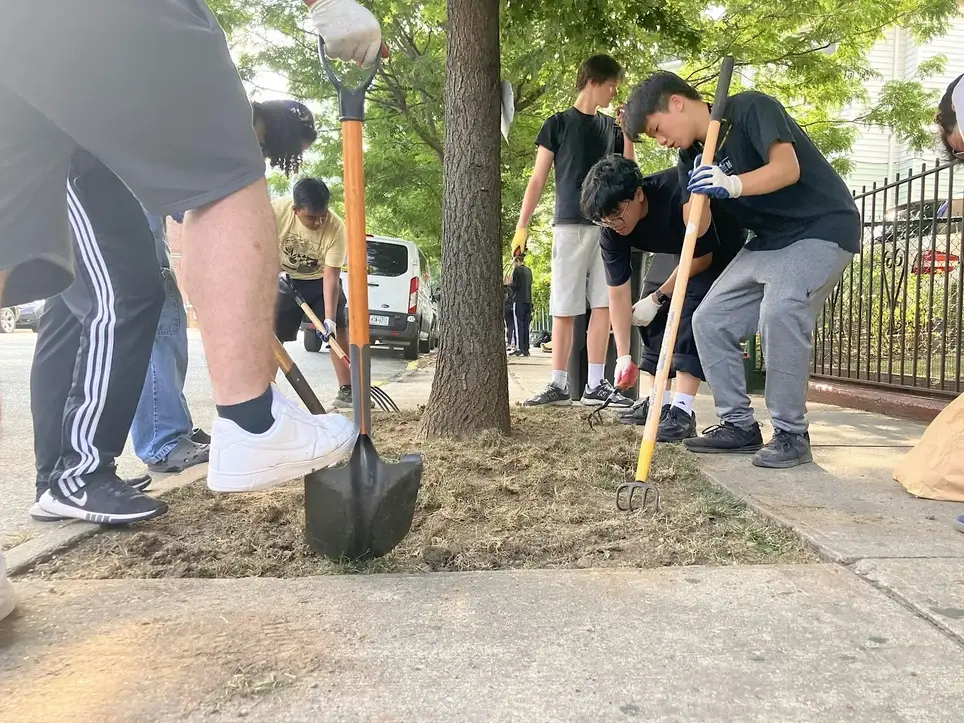 Street Tree Care w/Little Haiti BK and FCCP