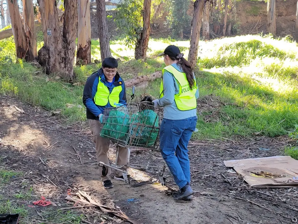 Roots, Rays & Renewal - Cleanup