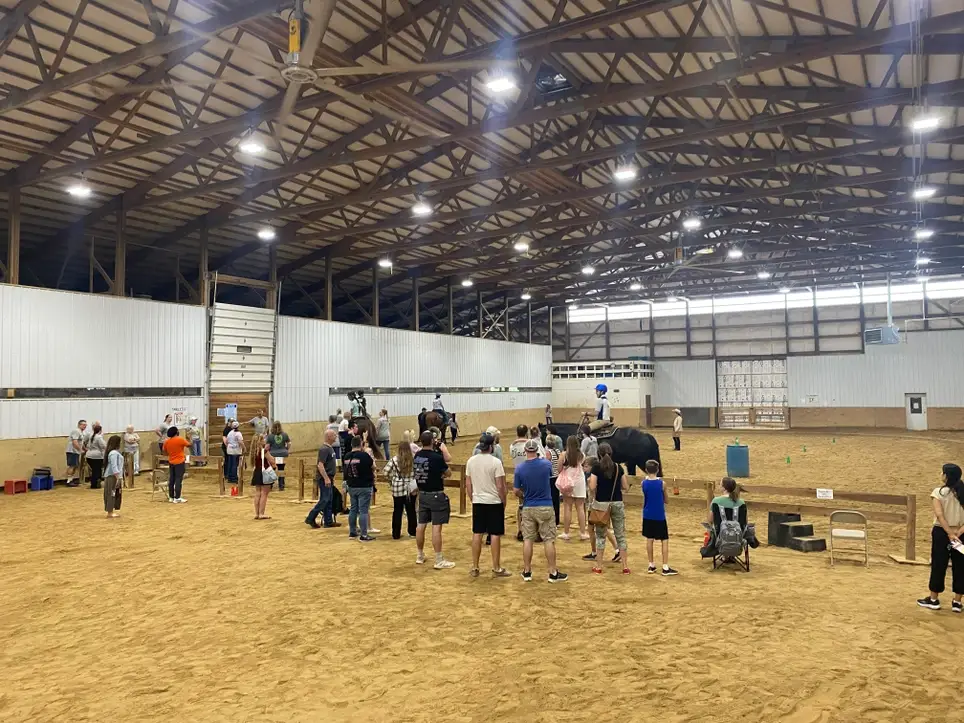 New Volunteer Training - Equine Therapy