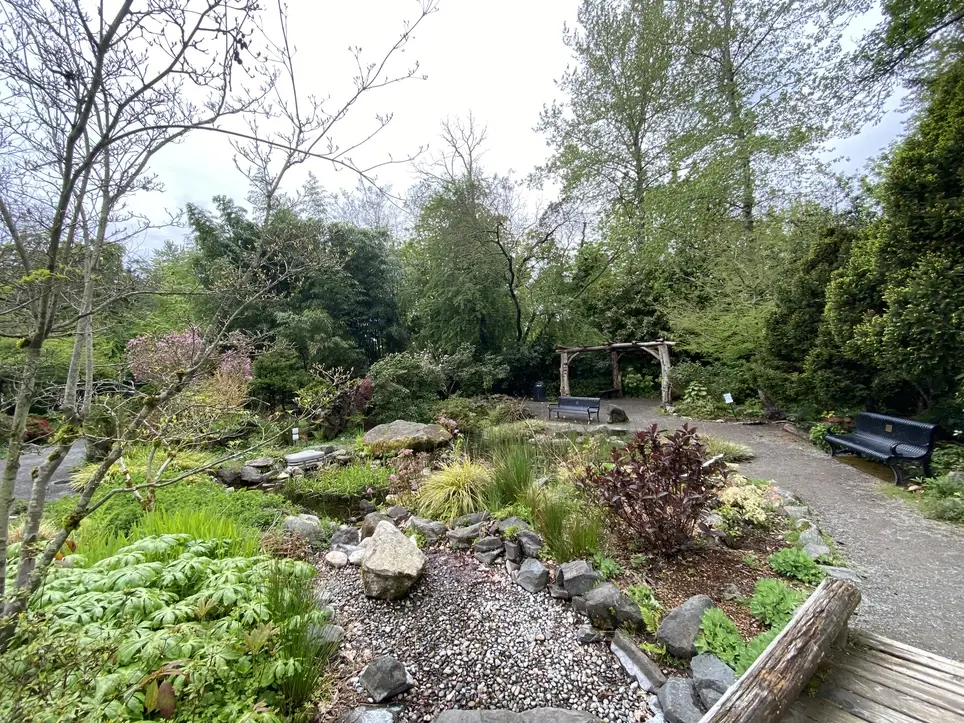 Docent Tour Guide for Highline SeaTac Botanical Garden